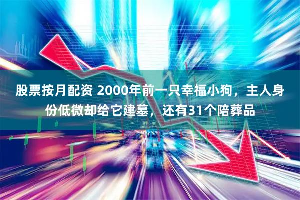 股票按月配资 2000年前一只幸福小狗，主人身份低微却给它建墓，还有31个陪葬品